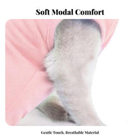 Breathable Material Cat Spay Recovery Suit Soft Material Cat Recovery Suit Easy to Wear for Veterinarians, Veterinary Medical Facility