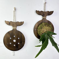 Wooden Wall-Mounted Staghorn Fern Planting Board