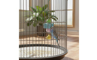 Beak Grinding Parrot Gnaw Toy Mental Stimulation Hanging Gnaw Toy Natural Material Pet Supplies Interactive Play for Parrots, Budgies, Lovebirds, Enclosure