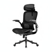 Highspine-Support Ergonomic Chair Adjustable Support Highspine-Support Mesh Chair with Headrest Reclining Spinerest Continuous