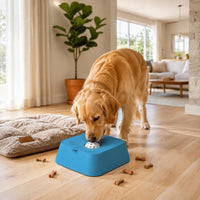 Slow Feeder Bowl Mental Stimulation Dog Lick Bowl Antigagging