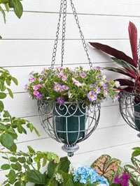 Outdoor Iron Hanging Planter Basket for Garden and Balcony