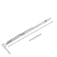 16 Hole Flute Easy to Operate in C-Keyed  Flute Portable Case Included Wind Instrument for Students, Beginners