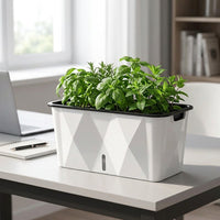 Automated Watering Planter, Rectangular Plant Pot with Drainage System Planter Box for Vegetables Strawberries