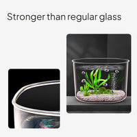Acrylic Desktop Aquarium, Transparent Fish & Turtle Bowl