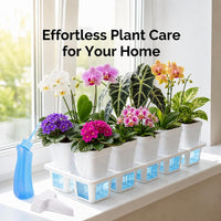 Self-Watering Plant Pot with Tray, Plastic, for Succulents and Seedlings
