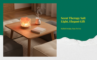 USB dimmable salt night light