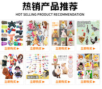 宠物装饰仓鼠帽子金丝熊装饰假发帽 鹦鹉小帽子虎皮玄凤小宠用品