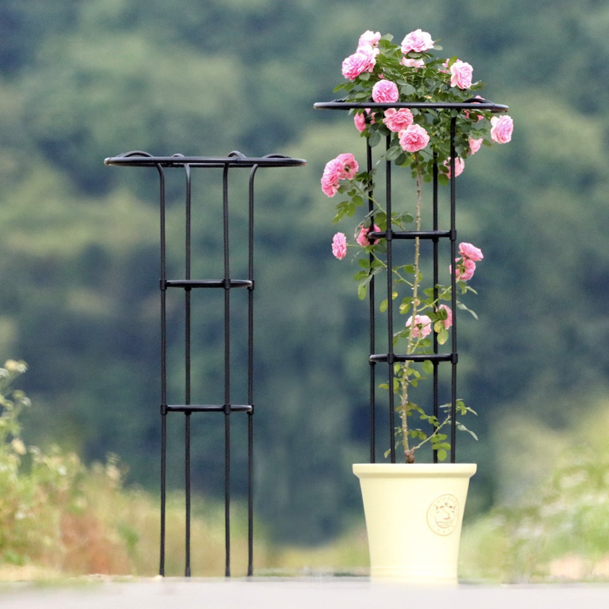 Third Generation Plant Climbing Frame Umbrella Type for Roses, Thickened Garden Support, Iron Pipe with Plastic Coating