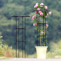 Third Generation Plant Climbing Frame Umbrella Type for Roses, Thickened Garden Support, Iron Pipe with Plastic Coating