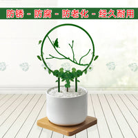 山乌龟绿植圆形花架铁线莲爬藤架绿萝攀爬架子桌面植物花卉造型架