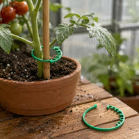 20 Pieces Hooked Plant Clip Rounded Plant Stem Support Clip Easy to Use