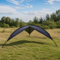 Outdoor Silver-Coated Black Sunshade Rainproof Triangle Tarp for Camping and Beach