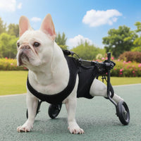 Rehabilitation Dog Wheelchair Easy to Walk Pet Mobility Aid Durable
