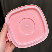 Double Layer Fruit Draining Basket, Portable Vegetable Washing Bowl with Lid, Kitchen Strainer for Washing Storing Serving Salad, Food-Grade Material