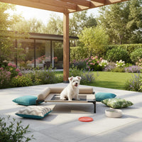 Elevated Dog Bed Raised-the-Ground Design Raised Pet Cot Easy to Clean