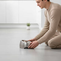 Stainless Steel Feline Bowl Anti-Slip Wide Cat Bowl Tilted Feeding Bowls for Cats, Kittens, Indoor