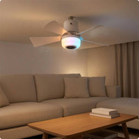 RGB Ceiling Fan Light Brightness Adjustable Home Device Timing