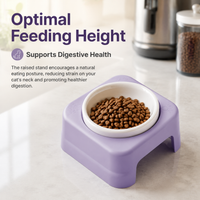 Elevated Pet Bowl, Ceramic Cat Food Bowl with Stand, 175ml Anti Vomit Shallow Dish for Felines & Small Dogs