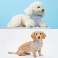 Cat Vest Harness with Leash Set, Breathable Vest Style Suitable for Cats, Adjustable Strap for Cat Walking Harness