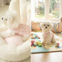 Dog Recovery Suit and Post Surgery Clothes, Sleeveless Vest Style Spay Neuter Dog Suit