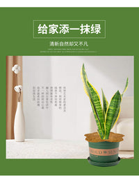 跨境植物攀爬架 植物支撑架 蝴蝶小鸟花架爬藤架园艺拆装固定杆
