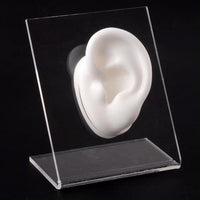 Silicone Ear Model for Earring Display and Piercing Practice