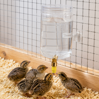 Automatic Poultry Water Dispenser, Chicken Waterer with Nipple, Duck Goose Chick Waterer for Hens, Hygienic Backyard Aviary