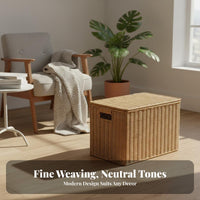 Woven Box with Lid Natural Aesthetic Lidded Woven Bin Stackable Design