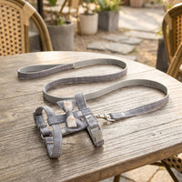 Adjustable Nylon Cat Harness and Leash Set, Strap Walking Harness for Outdoor Travel