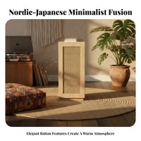Rattan Door Bedside Cabinet Minimalist Design Nightstand Wide Top Surface