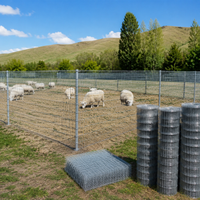 Roll Chicken Wire, 2.0 mm Welded Galvanized Fence, for Enclosures and Gardens, Silver Color