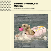 Dog Life Jacket: swim safety