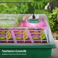 Plants Tray with Dome Transparent Lid Plants Starter Tray Kit Plant Sprouting Box for Home Gardeners, Beginners, Indoor, Balcony