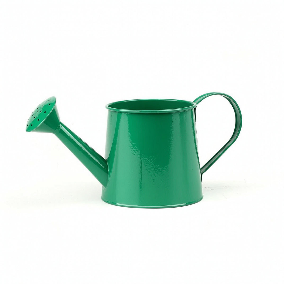 Metal Watering Can Outdoor Watering Can with Long Spout Indoor for Gardeners
