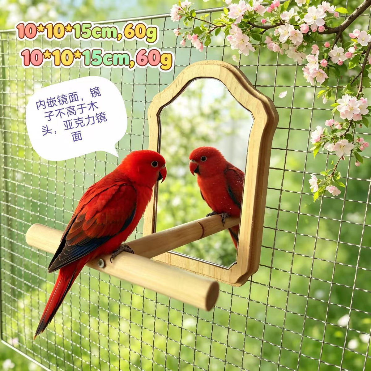 Bird Mirror W Wood