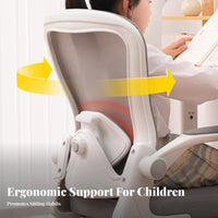 Adjustable Ergonomic academic Seat Stable Base Student Desk Chair for Study Room