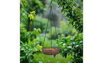 Bird Feeder Bowl with Metal Hanger Weather Resistant for Garden, Backyard