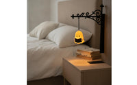 Bookshelf Light Compact Wall Lamp with Chain Matte for Bedroom