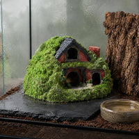 Cold-Blooded Pet Hideout Cave Stress Relief Cold-Blooded Pet House Decoration