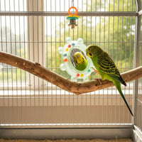 2 Pieces Bird Mirror Toy Enrichment Enclosure Mirror Safe Chewing