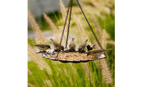 Foliage Bird Feeder Iron Hanging Bird Feeder Wide Mouth Opening for Outdoor