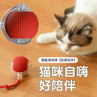 Electric Cat Toy Ball with Obstacle Avoidance, Interactive Pet Toy