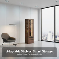 particle-resistantresistant Lighted Curio Cabinet Clear View Doors display shelf Modern & appearance Display Case Adjustable Shelves for Collectors, Hobbyists, Homeowners, Study Room, Bedroom, Office
