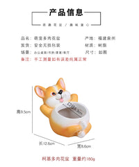 代发可爱动物树脂花盆创意阳台多肉造景摆件桌面绿植盆栽园艺装饰
