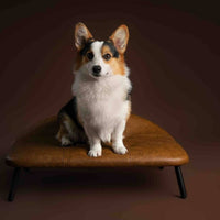 Pet Sofa Elevated Pet Bed with Legs Leather-Look for Living Room, Cats