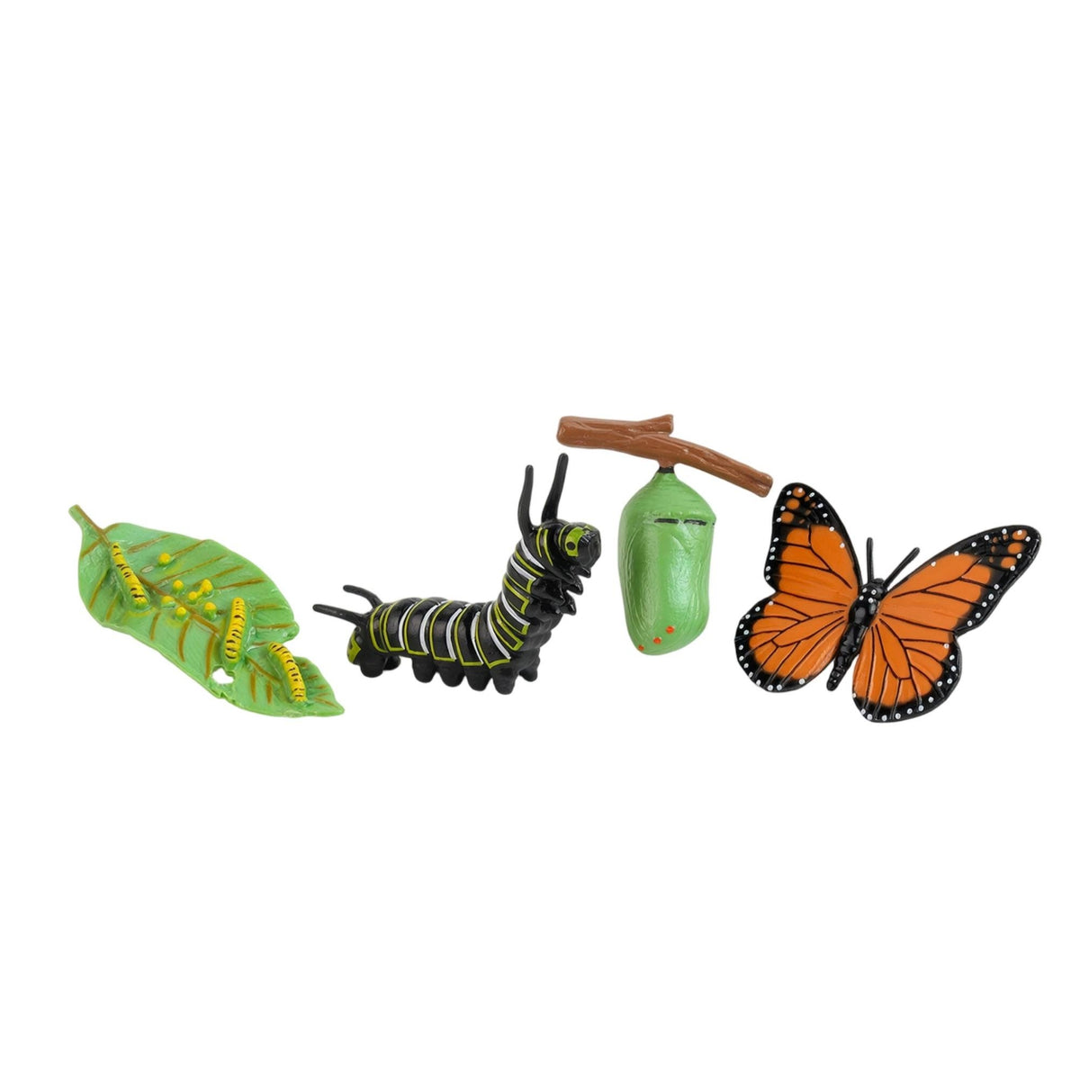 4 Pieces Molded Animal Life Cycle Toy Three-Dimensional Life Cycle Model Learning Educational Figures Realistic for Science Lessons