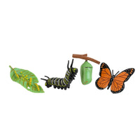 4 Pieces Molded Animal Life Cycle Toy Three-Dimensional Life Cycle Model Learning Educational Figures Realistic for Science Lessons
