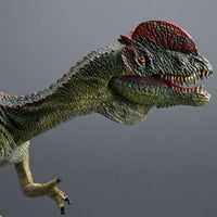 Hand Painted Dilophosaurus Figure Realistic Dinosaur Model Prehistoric Dinosaur Figurine for Boys, Kids, Collectors, Desk Decoration, Classroom