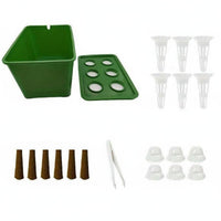 Hydroponic Growing System Easy to Manage Soilless Cultivation Box for Beginners